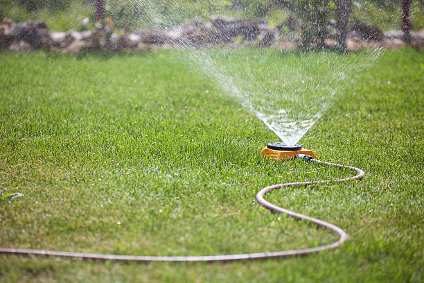 istock Sprinkler spraying water on the grass 535192193