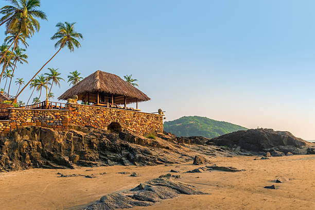 istock beach bar on the seashore in the tropics 535192647
