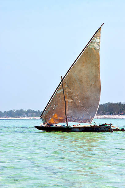 istock beach    zanzibar seaweed 535192725
