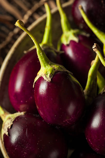 istock Organic Raw Baby Indian Eggplants 535193904