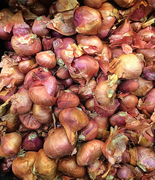 shallots