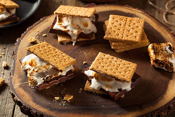 istock Homemade Gooey Marshmallow S'mores 535195088