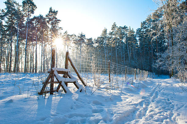 istock Beautiful winter landscape with snow covered trees 535196781
