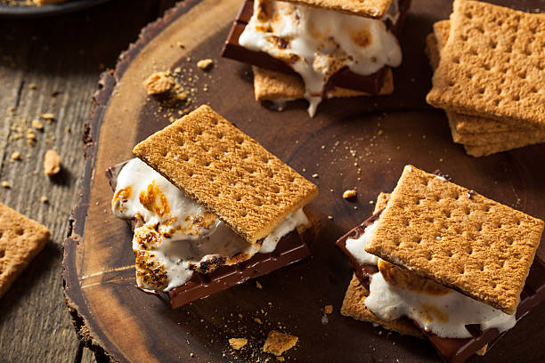istock Homemade Gooey Marshmallow S'mores 535198132