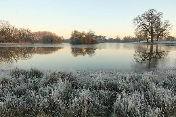 istock Frozen lake on frosty morning 535198937