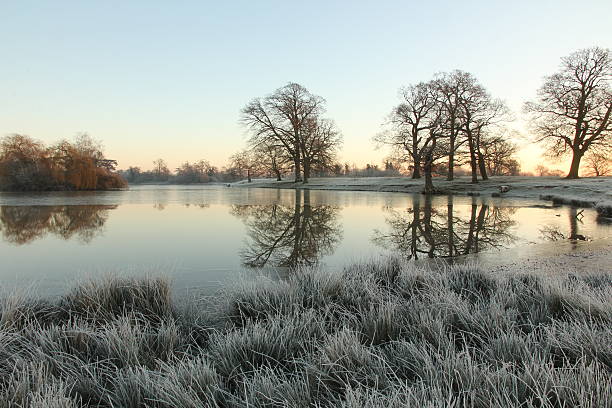 istock Frozen lake on frosty morning 535198941