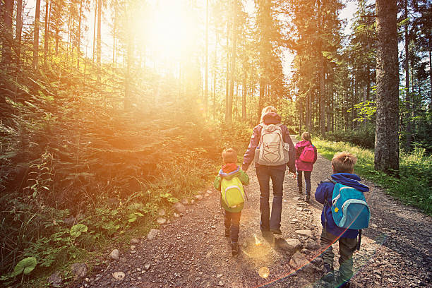 mutter und kinder wandern im sonnigen wald - gemeinsam gehen stock-fotos und bilder