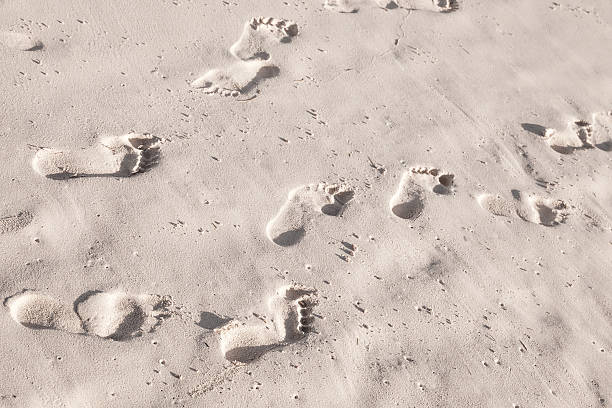 istock Footprints in white coastal sand on ocean beach 535199949