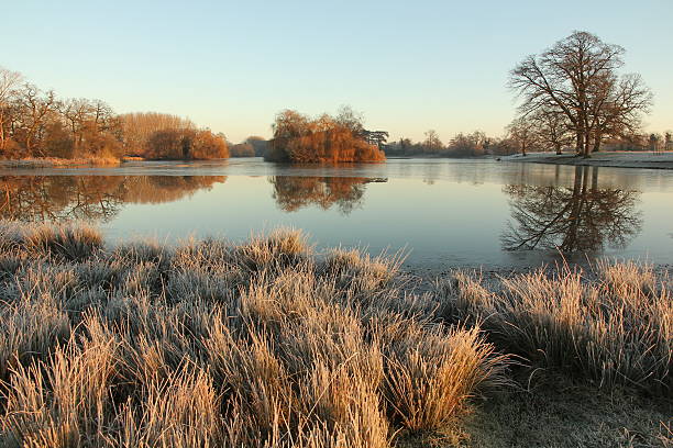 istock Frozen lake on frosty morning 535200323
