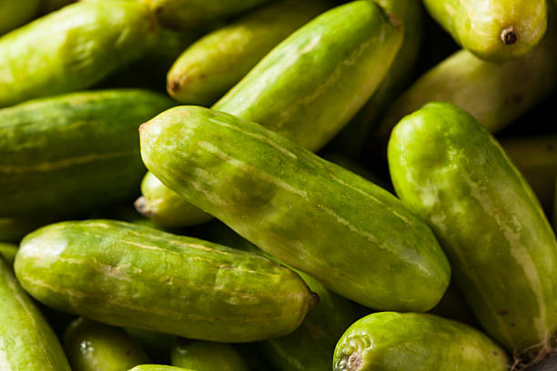 istock Raw Green Organic Tindora 535200698