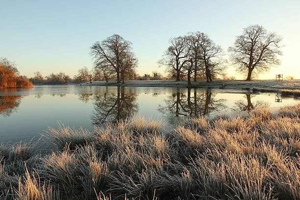istock Frozen lake on frosty morning 535200711