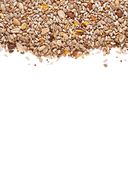 No Mess Bird Seed on White Background. No Mess bird seed fills top part of image with white space below. bird seed stock pictures, royalty-free photos & images