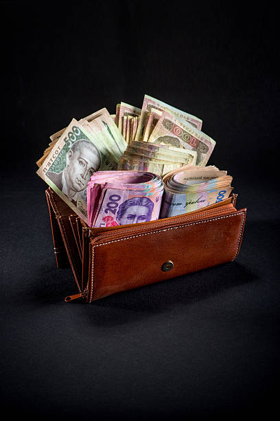 istock Ukrainian money in the wallet 535223783