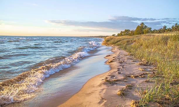 dia na praia - lago michigan imagens e fotografias de stock