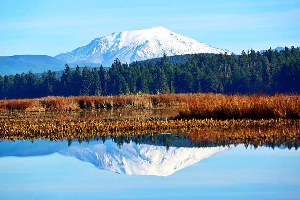 Mt St Helens reflecting in Silver Lake