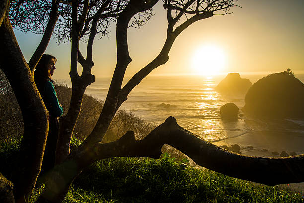 belleza puesta de sol del mar - humboldt county california coastline island fotografías e imágenes de stock
