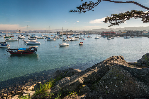Boats sit at anchor in Monterey Harbor with Fisherman's Wharf in the background.