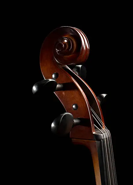 A close up view of the scroll on a cello.
