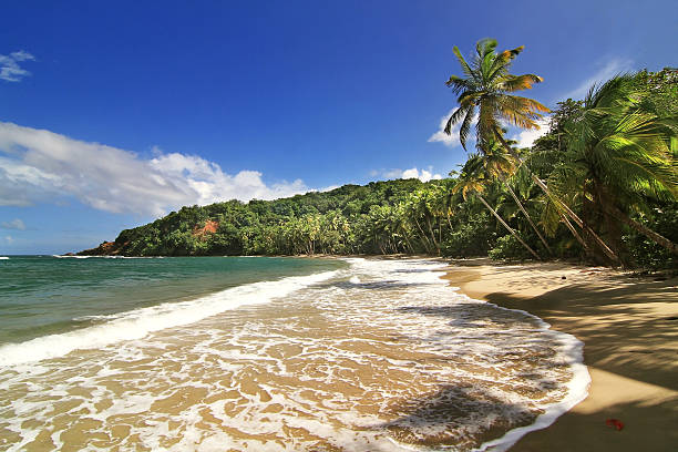 istock Beautifull beach in Dominica 535228947