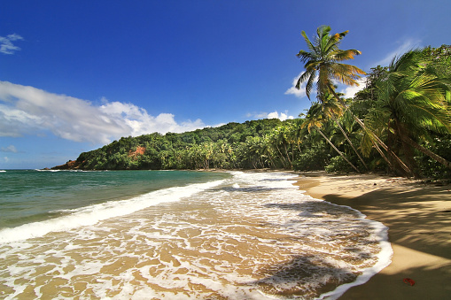 Beautifull beach in Dominica