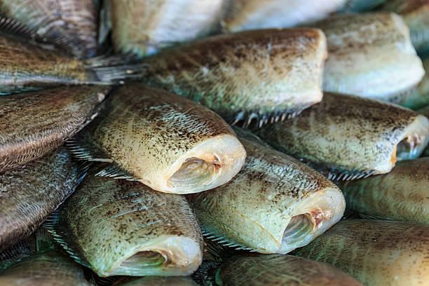 istock Close up dry fish in Thailand market 535229573