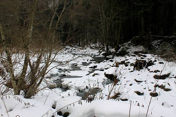 istock Winter river in Carpathian mountains 535229591