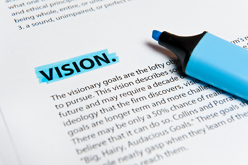 Vision highlighted in blue (Click for more)