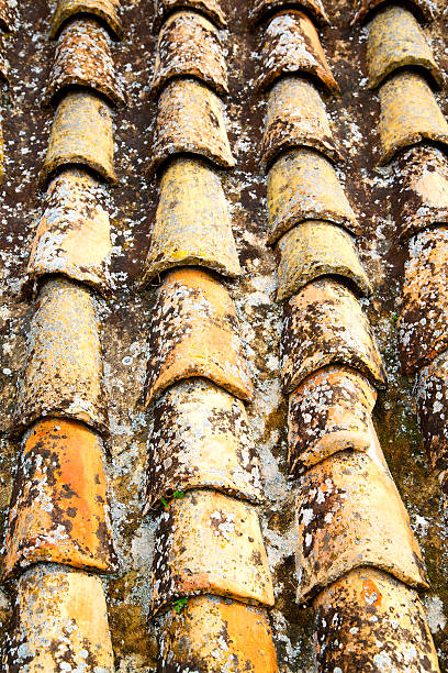 old moroccan  tile roof in the old city