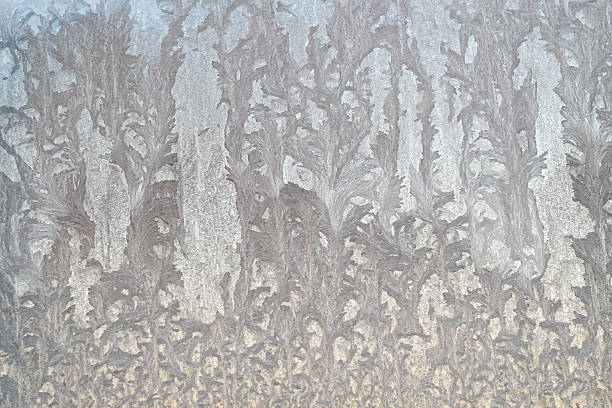 Photo of Beautiful ice floral pattern on glass, holiday seasonal background