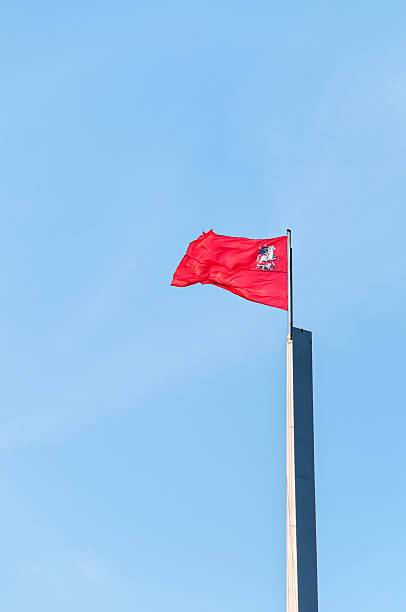 Moscow goverement flag on clear sky background