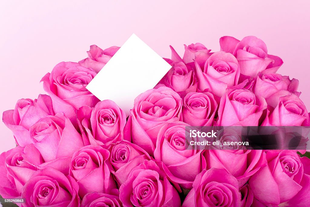 Blanco mensaje tarjeta y rosas rosadas - Foto de stock de Fondo rosa libre de derechos