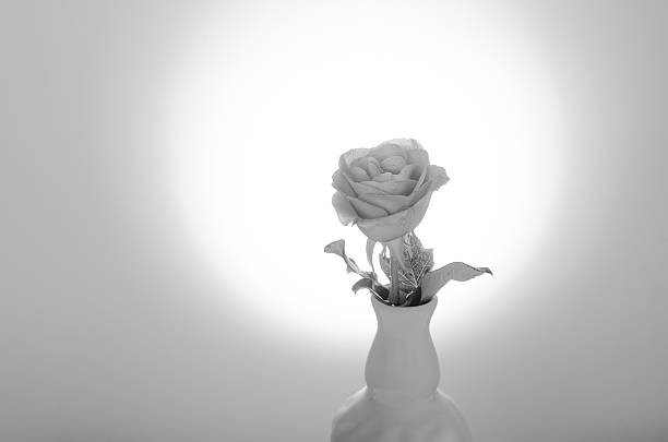Ceramic vase on the table