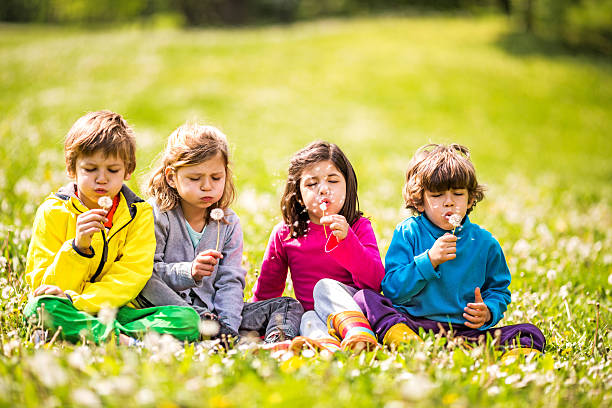 istock Children blowing dandelions. 535264323