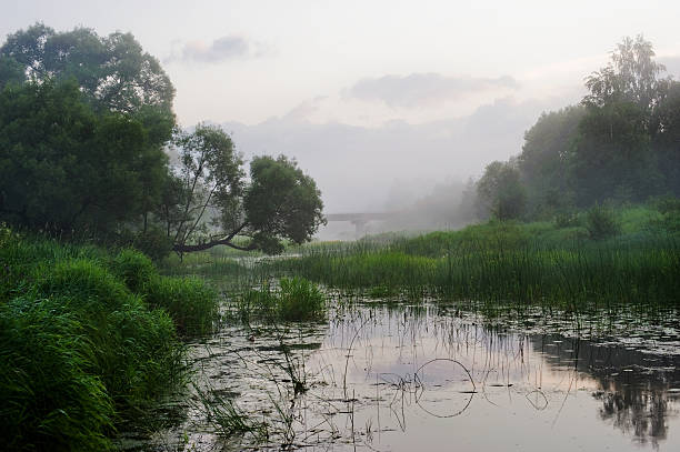 istock Landscape. Dawn, fog, river 535274997