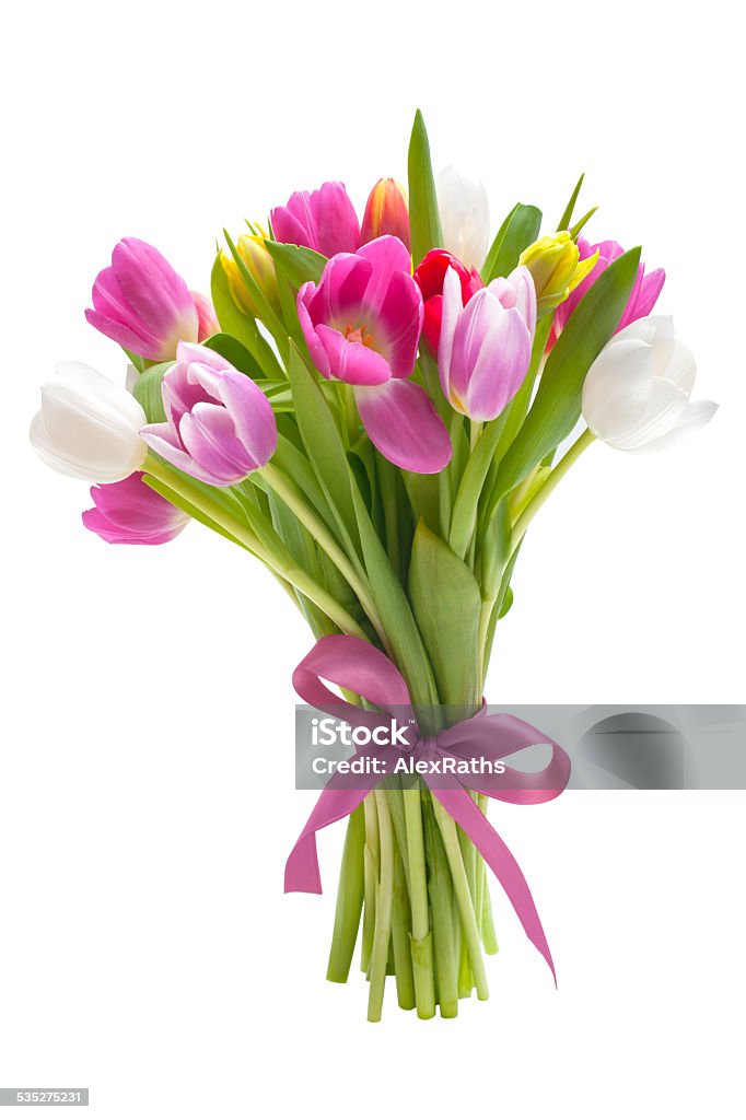 Bouquet of spring tulips flowers Bouquet of spring tulips flowers isolated on white background Bouquet Stock Photo