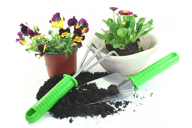 istock Gardening with spring flowers 535276223