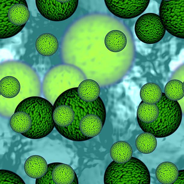 istock Bright big dangerous bacterias or virus spheres in liquid 535276513