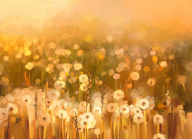 ilustraciones, imágenes clip art, dibujos animados e iconos de stock de cuadro al óleo daisy-fondo de campo de flores de manzanilla - dandelion nature flower abstract