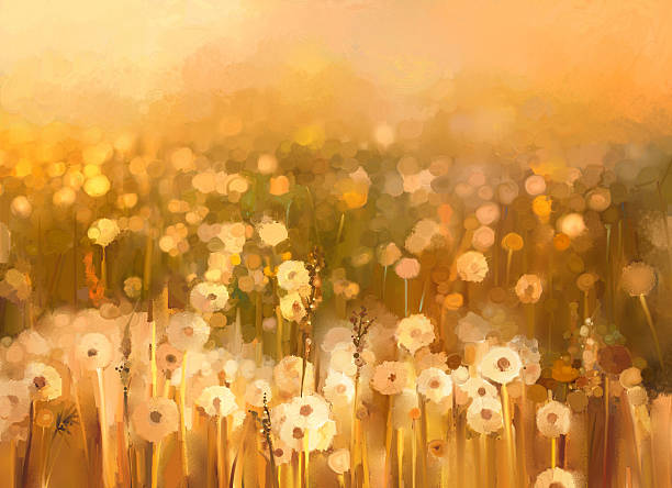 Oil painting daisy-chamomile flowers field  background
