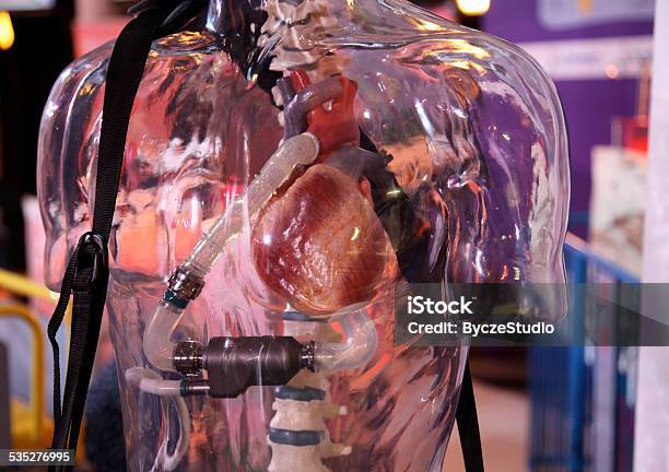 Artificial Heart Disease Attack Human Body Cardio Pomp Heartbeat Anatom Stok Fotoğraflar & Yapay Kalp‘nin Daha Fazla Resimleri