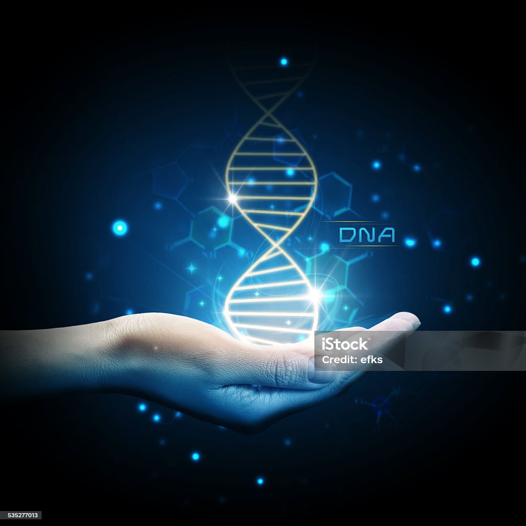 Dna on hand Medicine and science concept DNA Stock Photo