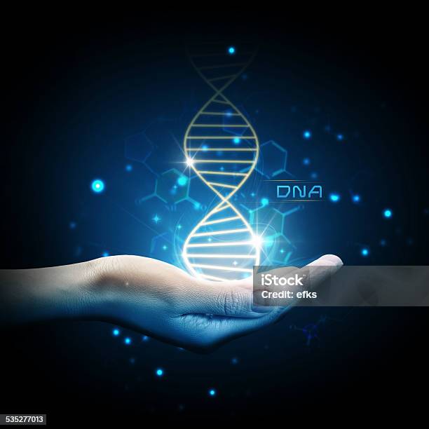 Dna On Hand Stock Photo - Download Image Now - DNA, 2015, Abstract