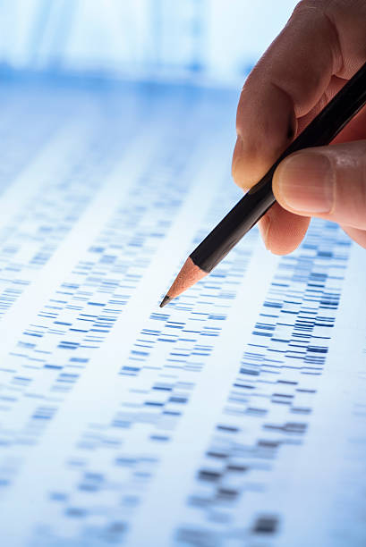 Interpreting DNA gel stock photo