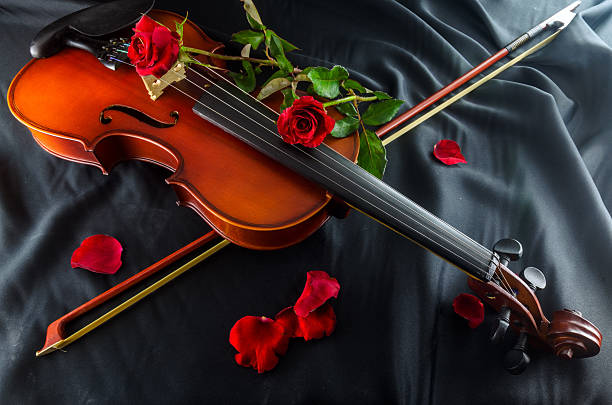 violino e rosa - classical music red violin bow foto e immagini stock