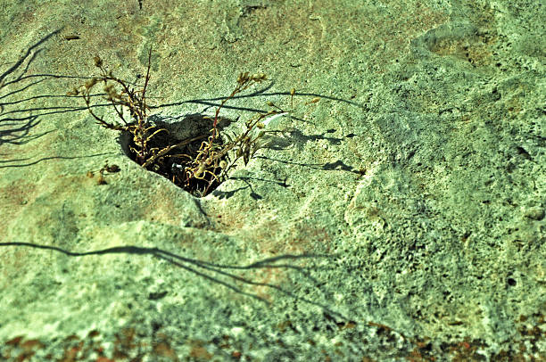 istock In the heart of rock 535278971