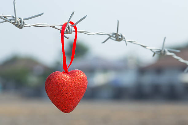 istock red heart on a background of barbed wire 535279933