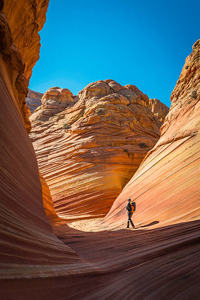 Hiker walking through desert canyon The Wave iconic strata Arizona Kanab, Utah, USA - 3rd November 2013: Hiker exploring the golden strata and smoothly eroded ravines of The Wave, the iconic rock formation on the Coyote Buttes of the Paria Canyon-Vermilion Cliffs Wilderness, Arizona, USA.  the wave arizona stock pictures, royalty-free photos & images