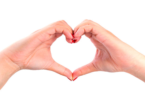 istock Shape of the heart 535280179