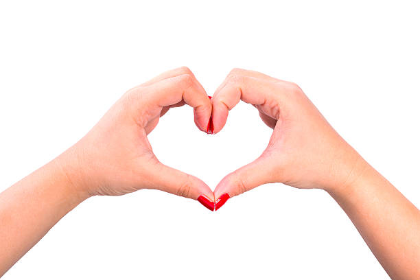 istock Shape of the heart 535280185