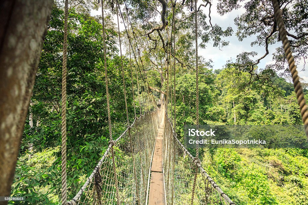 Canopy walkway in Kakum National Park, Ghana, West Africa Canopy walkway in Kakum National Park, Accra Region, Ghana, West Africa 2015 Stock Photo